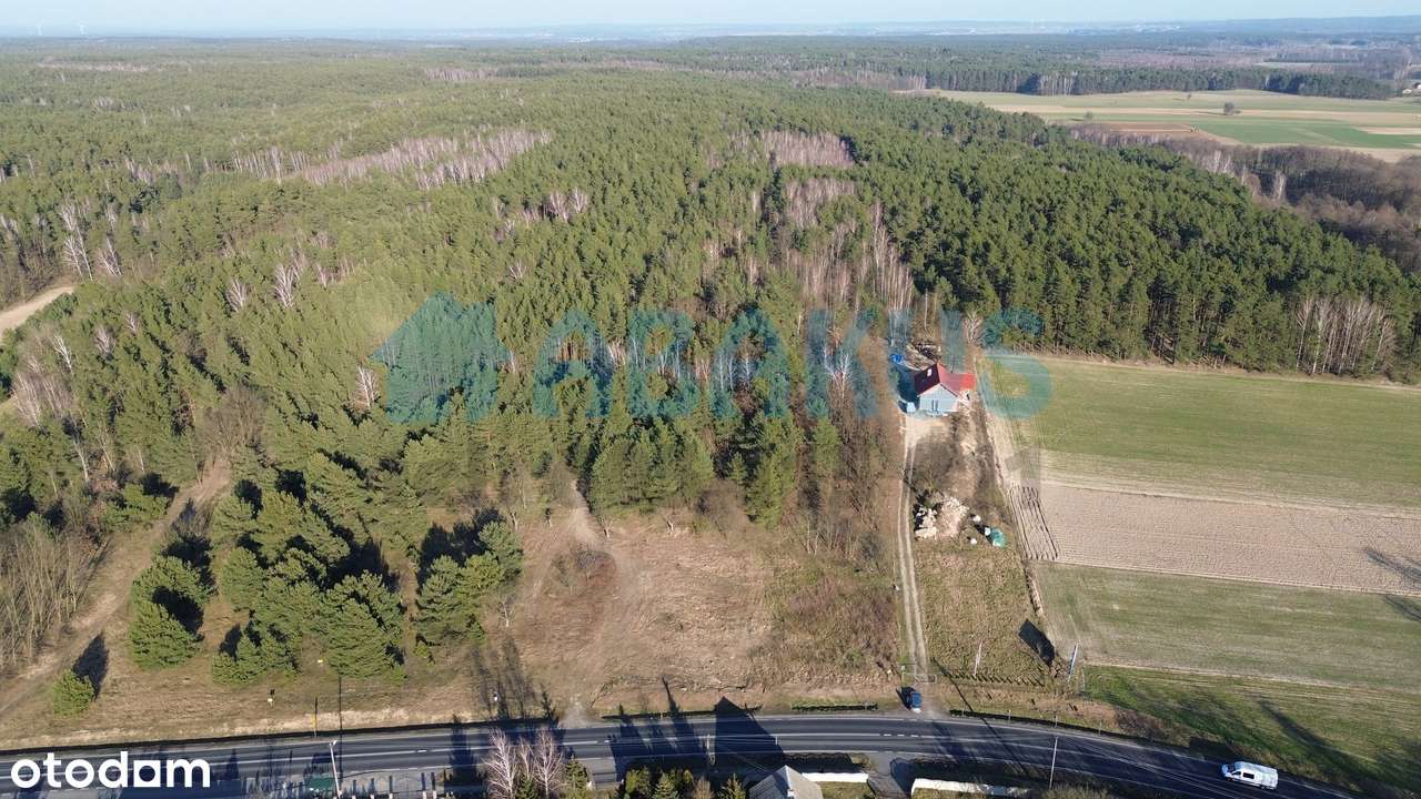 Na sprzedaż działka budowlana Kępina - 5 km od Konina-8