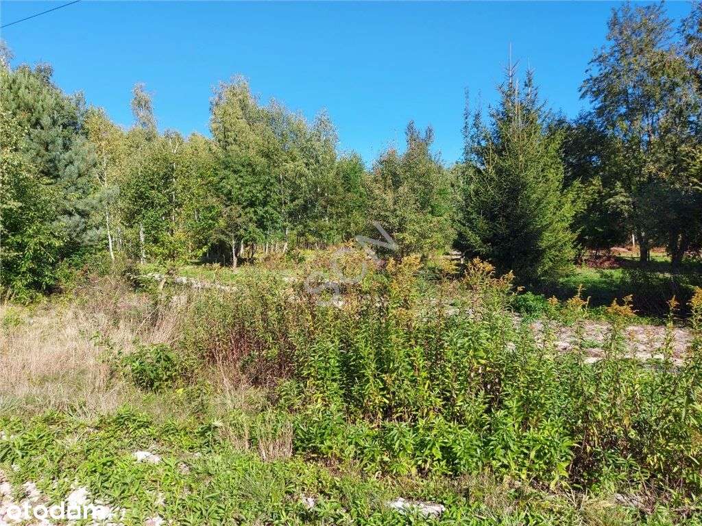 Działka W Sąsiedztwie Lasu - Pełny obrazek: 1/6