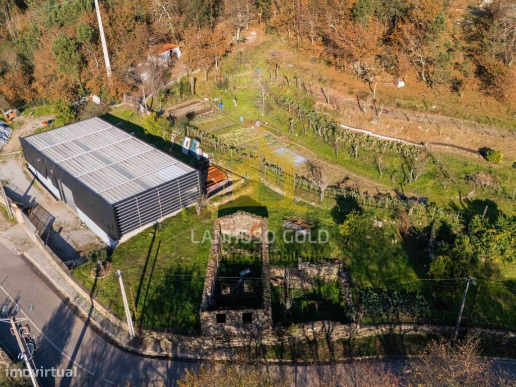 Quinta com Terreno, Armazém e Ruína em Gonça, Guimarães - Oportunid...-15