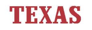 Firma handlowa TEXAS logo