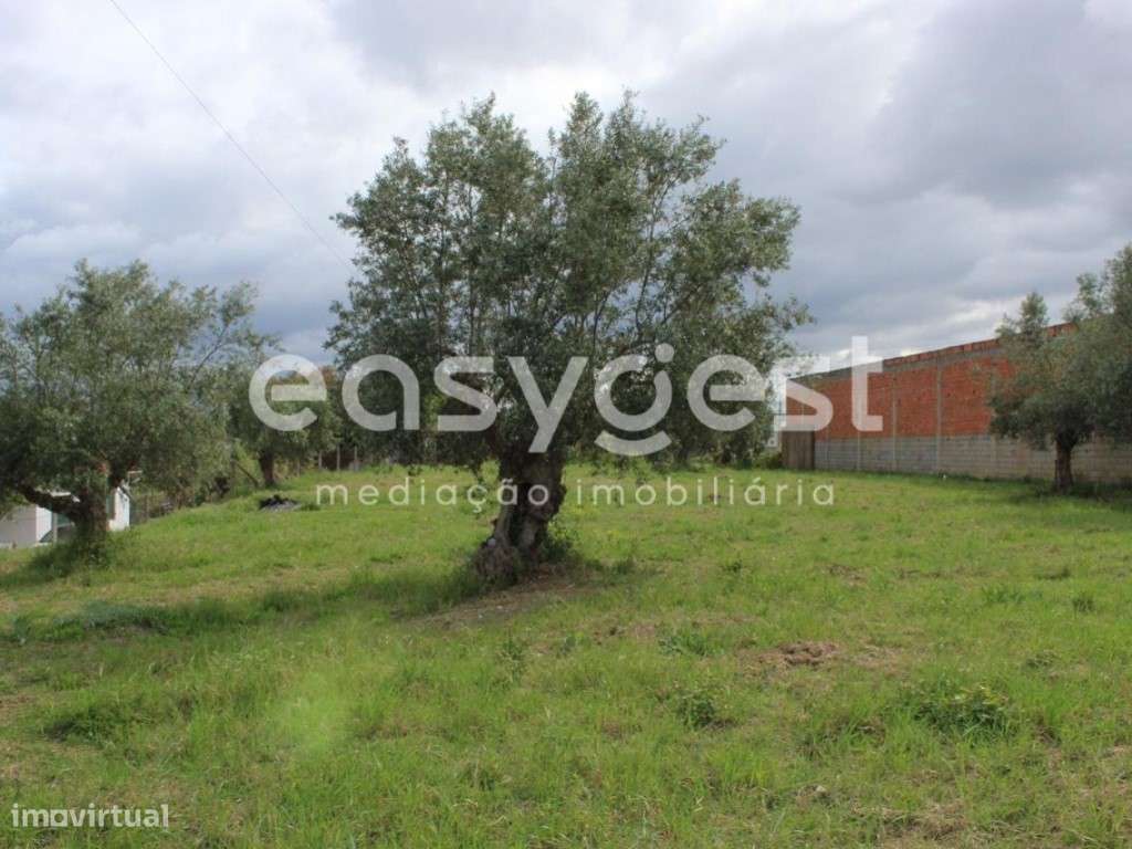 Terreno urbano com 2680m2 junto a cidade - Totalmente plano - Grande imagem: 5/24