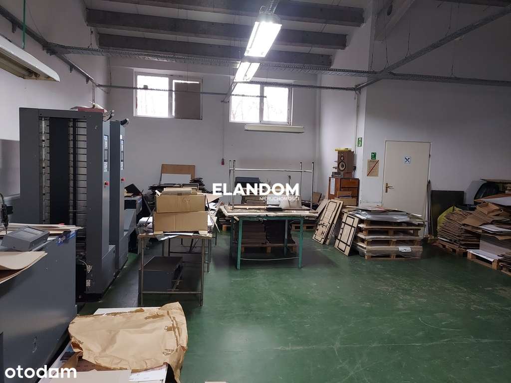 Hala produkcyjna na dużej działce - Pełny obrazek: 2/7