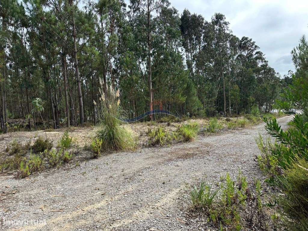 Terreno - Monte Real - Grande imagem: 3/13