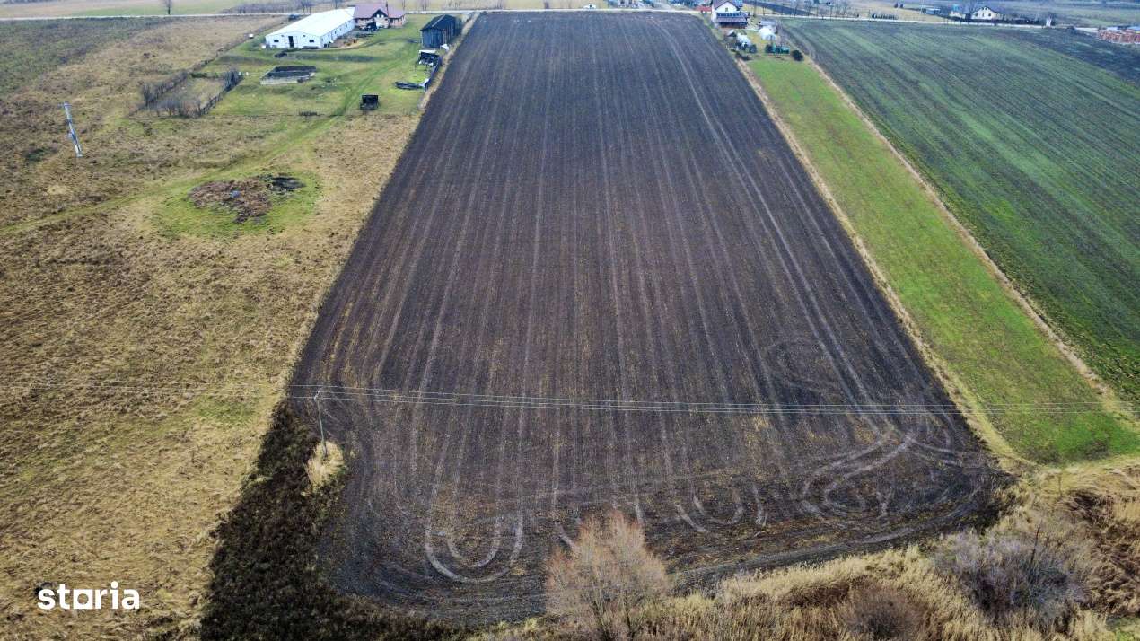 Teren 8.400 mp Negresti – ideal gospodarie, ferma, natura si liniste - Imagine principală: 2/9