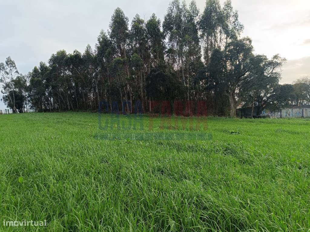 Terreno em Argivai - Póvoa de Varzim - Grande imagem: 3/4