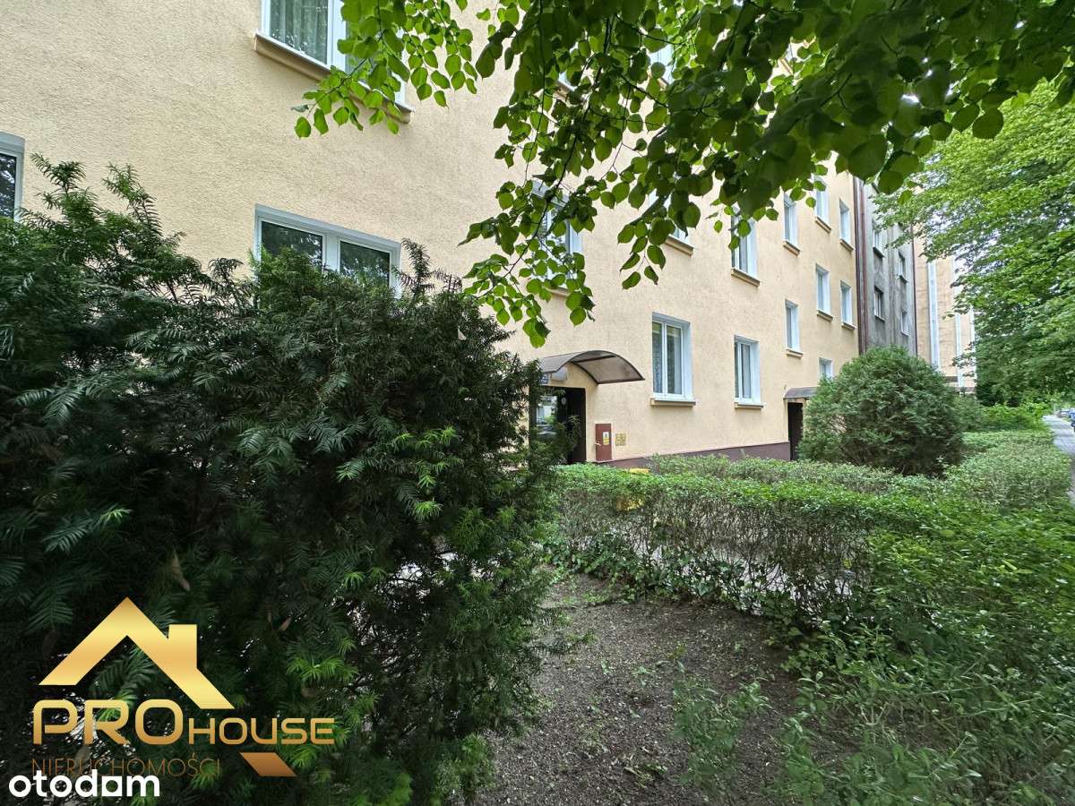 Słowackiego, 42 m2, ogródek, Park Miejski-13