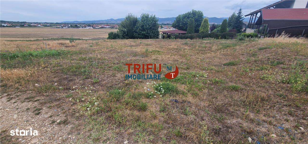 Teren intravilan 669 mp în Șeușa, utilități pe teren si acces facil - Imagine principală: 4/7