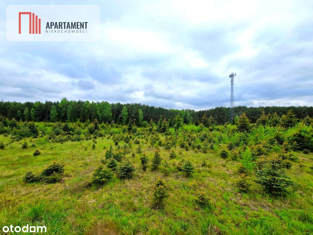 Działki w Bietowie. Promocja - Pełny obrazek: 5/12