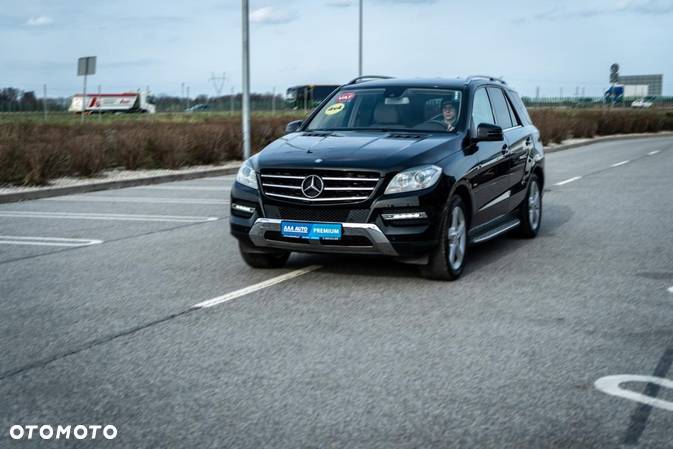 Mercedes-Benz ML - 25