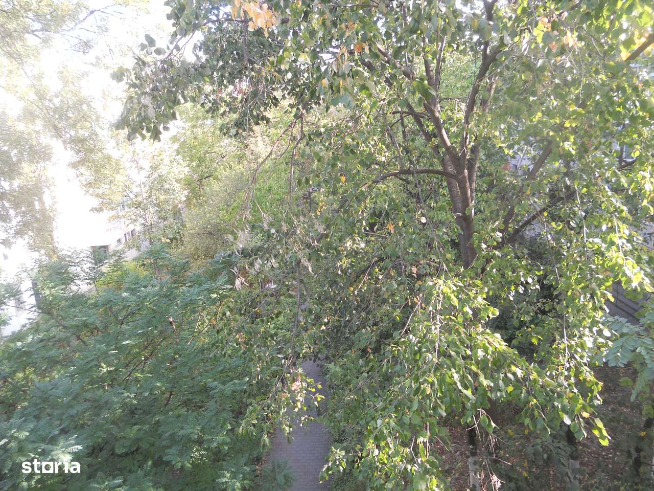 Podu Ros-aproape de Palas MALL-5