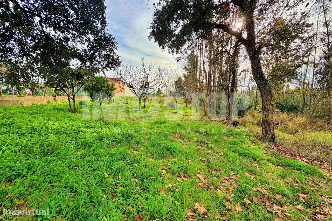 Terreno para construção entre Albergaria-a-Velha e Aveiro-5