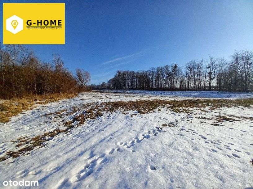 Dwie działki budowlane na dziewiczych terenach w s-0