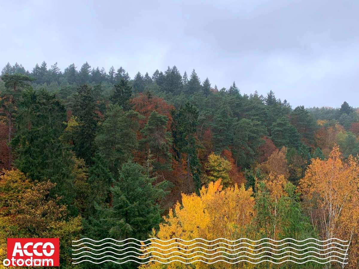 Sprzedaż: Mieszkanie z potencjałem - Sopot Górny-11