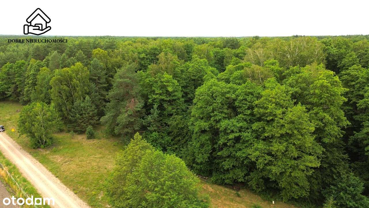 Wola Uhruska 6000 m2 - Zabudowa Jednorodzinna - Pełny obrazek: 5/6