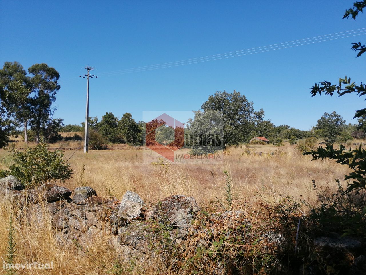 Quinta  Venda em Bendada,Sabugal