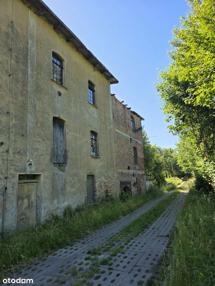 Doskonała Inwestycja,  stawy, grunty , młyn - Pełny obrazek: 4/6