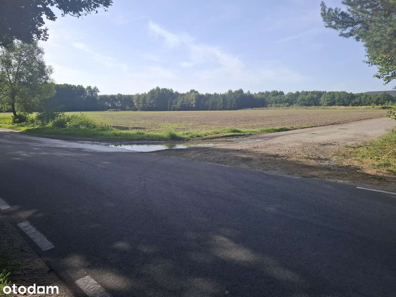 Działki pod lasem, Czmoń, prąd, woda, WZ, od 730 m2 do 900m2