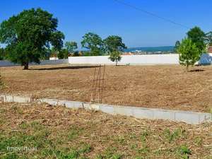 Terreno - Monte Real e Carvide-12