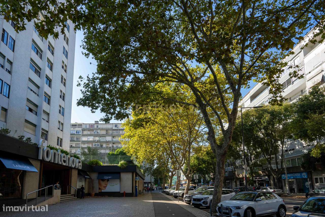 Apartamento T3 pleno de luminosidade em zona premium de Benfica-31