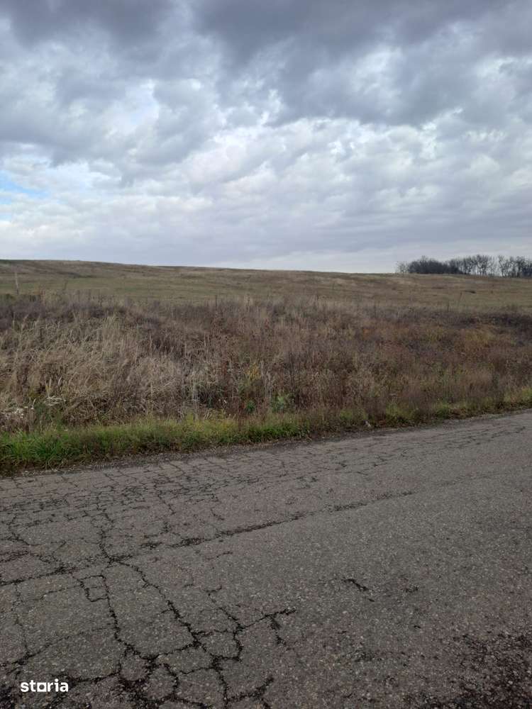 Teren extravilan la limita cu intravilanul 14 ha RECEA MICA-5