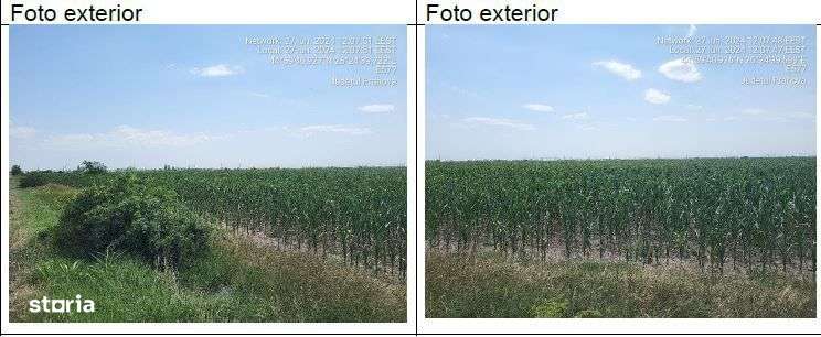 Teren Fantanele cota parte 1/6 , ID: R2111660 - Imagine principală: 3/4