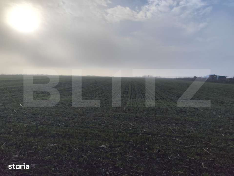 Teren 8400 mp extravilan, Miroslava-Vorovesti - Imagine principală: 4/4