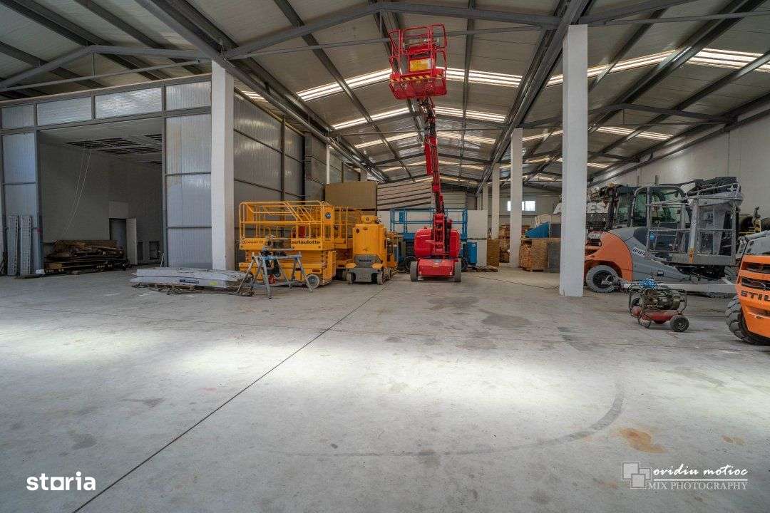 Hale cu deschidere la drumul european - Imagine principală: 4/19
