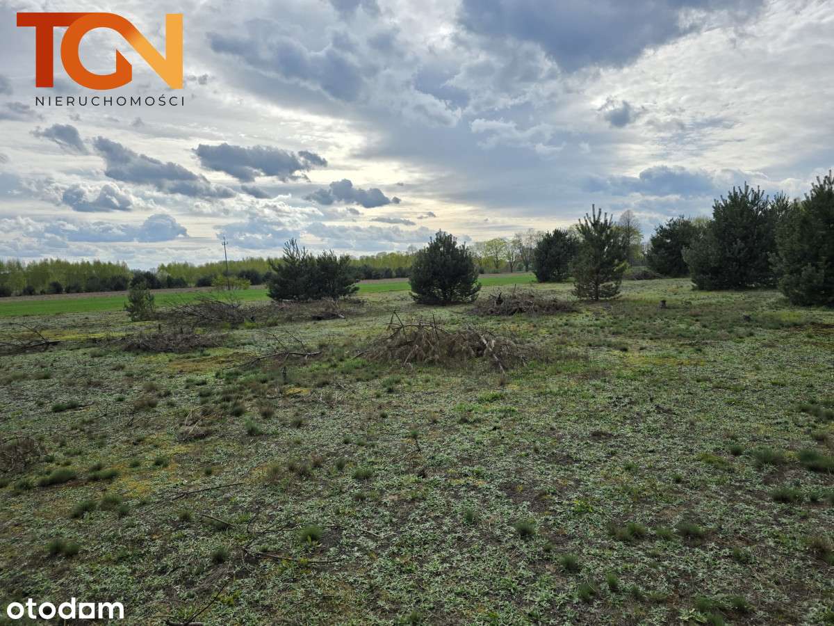 Działka w otulinie lasu - Pełny obrazek: 4/6