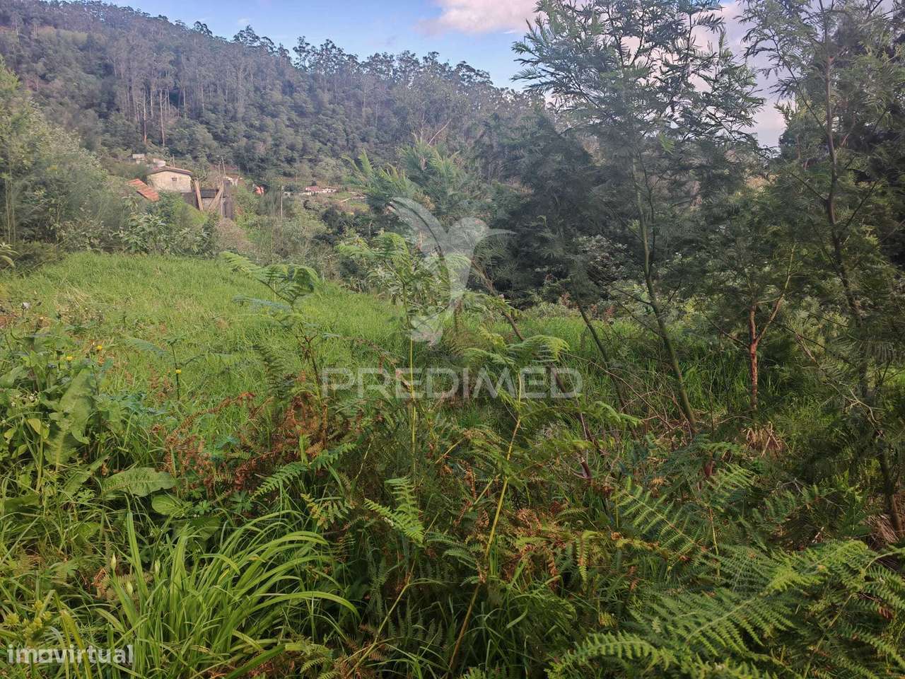 Terreno Rústico com Capacidade Construtiva – 1.740 m² | Ribeira de... - Grande imagem: 3/12