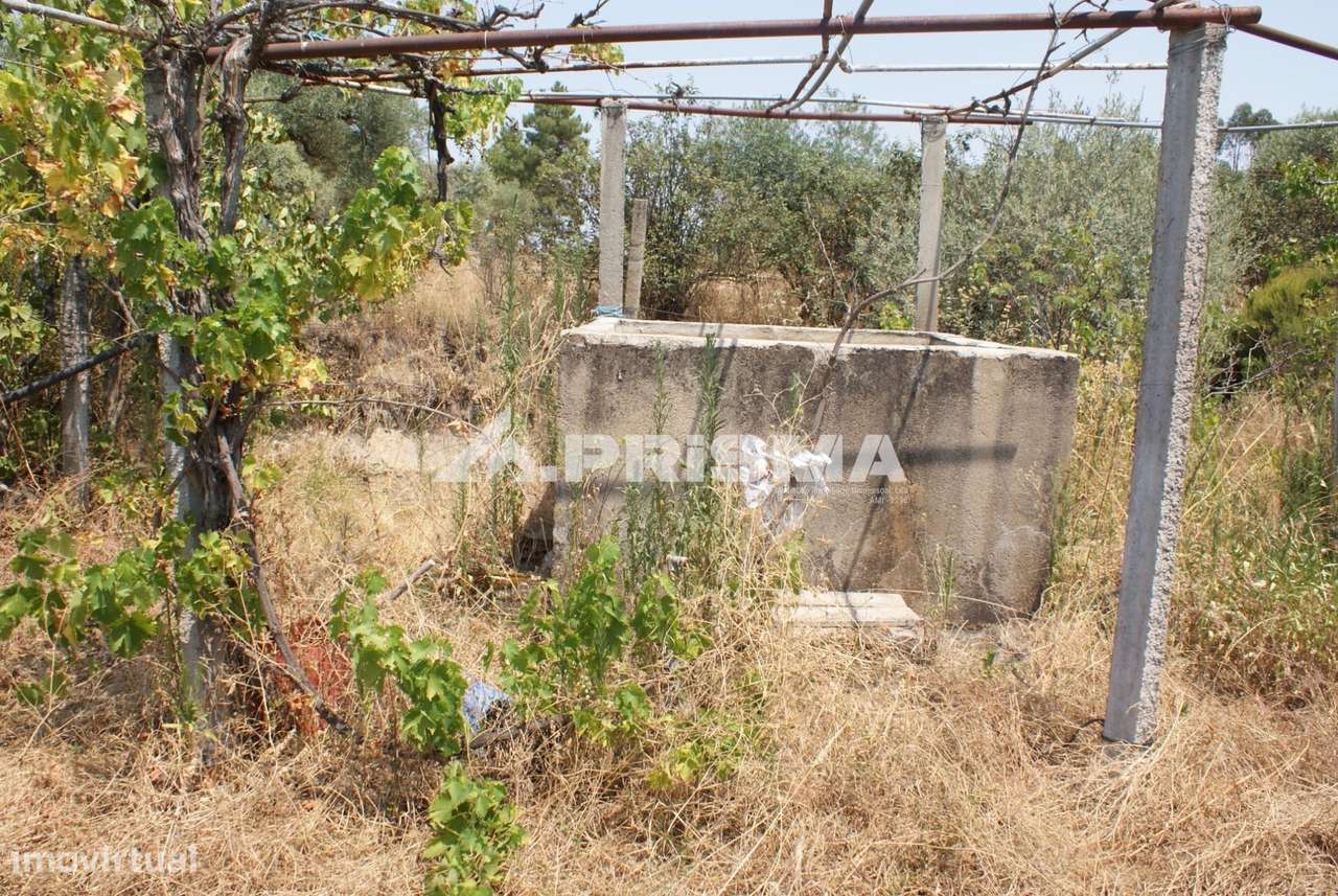 Quinta para Venda em Orca - Fundão-5