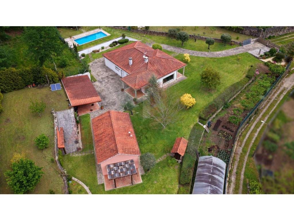Quintinha com 2 casas -Extraordinária propriedade-28