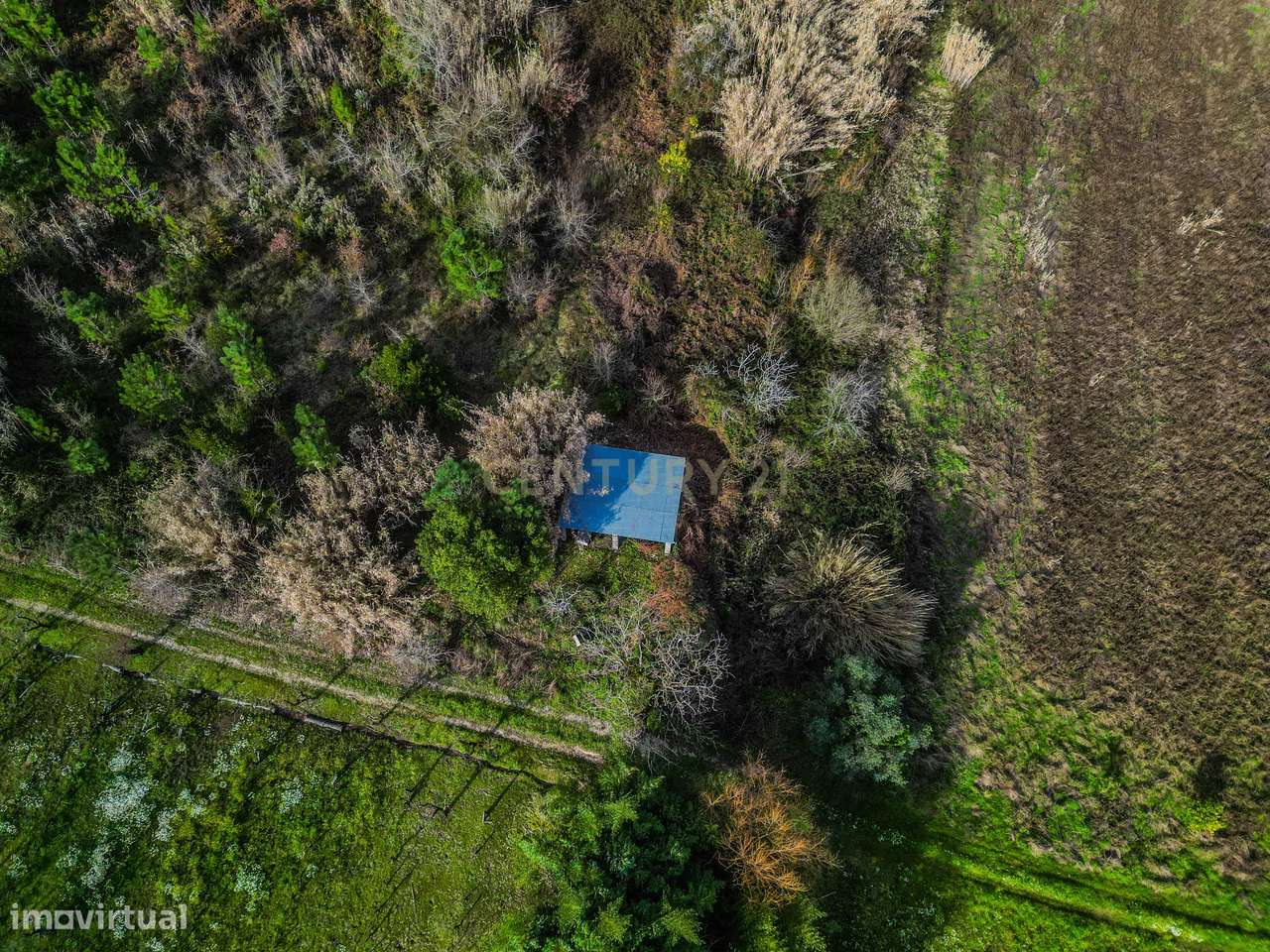 Quinta dos Lagares. Propriedade rural com cerca de 5 hectares e constr - Grande imagem: 3/18