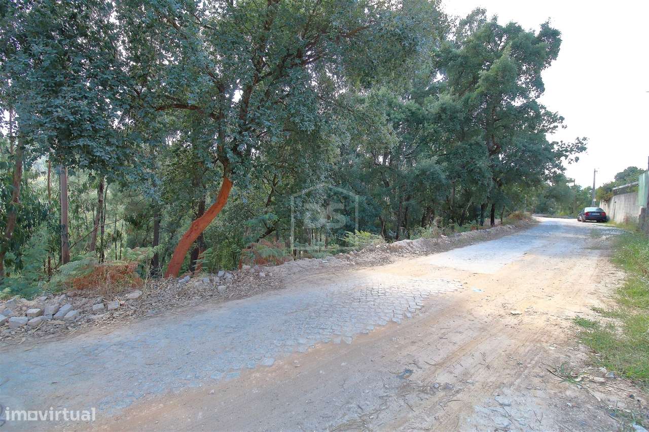 Terreno Para Construção  Venda em Raiva, Pedorido e Paraíso,Castelo de - Grande imagem: 3/14