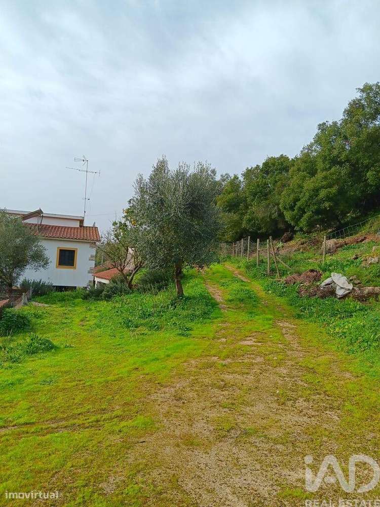 Casa T4 em Aljubarrota de 4807,00 m2 - Grande imagem: 5/17