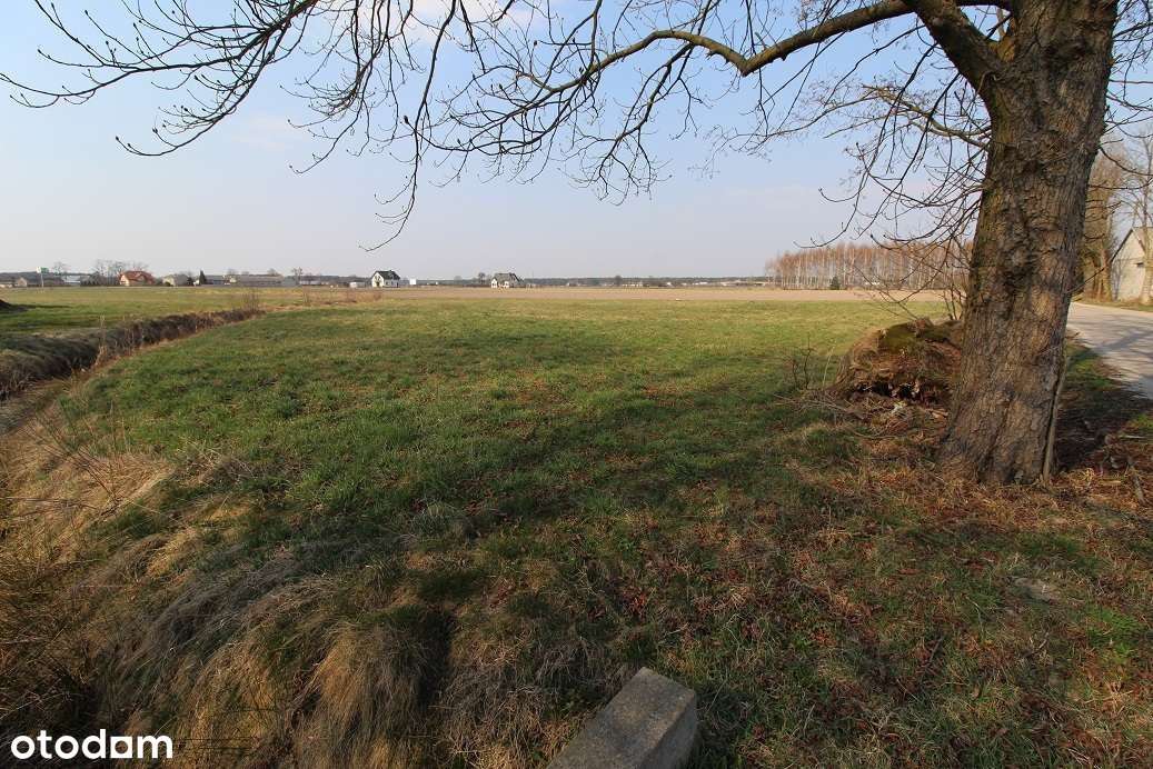 0% Wszebory działka budowlana 1092 m2-8