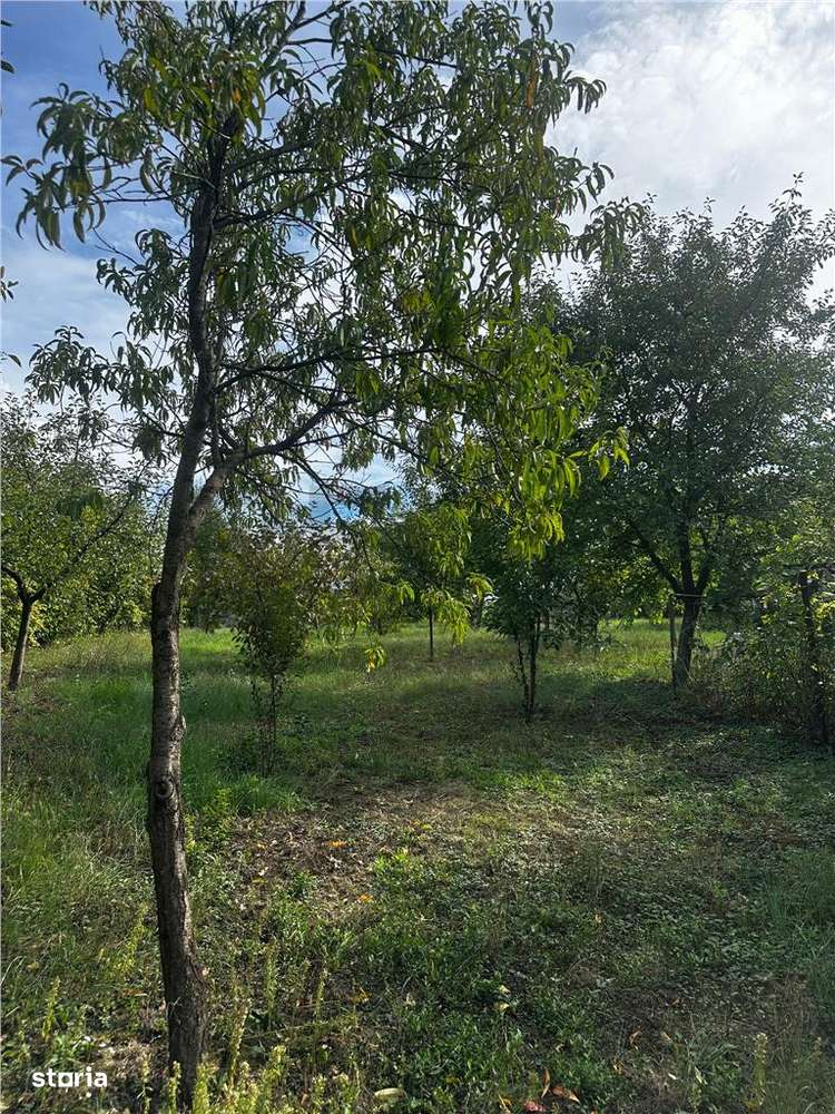 Reco Teren intravilan in Mizies - Imagine principală: 4/4