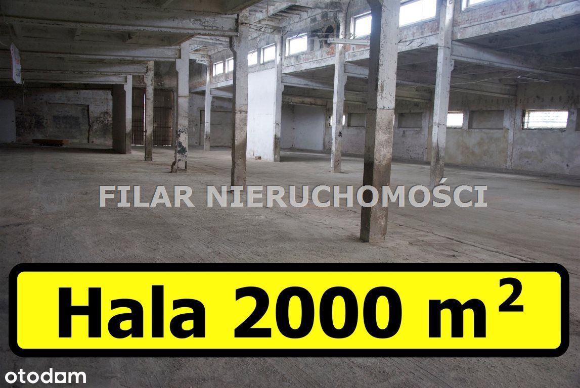 Hala/Magazyn, 2 000 m², Szklary Górne