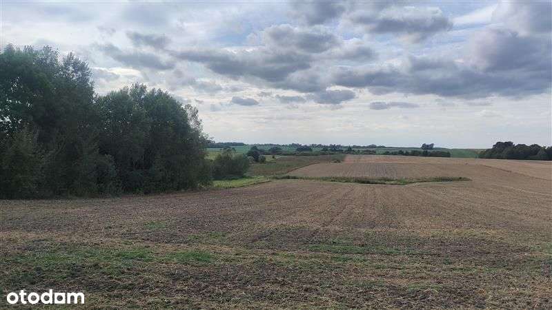 DE FACTO NIERUCHOMOŚCI - DZIAŁKA W MIEJSCOWOŚCI LEPNO, RYCHLIKI-6