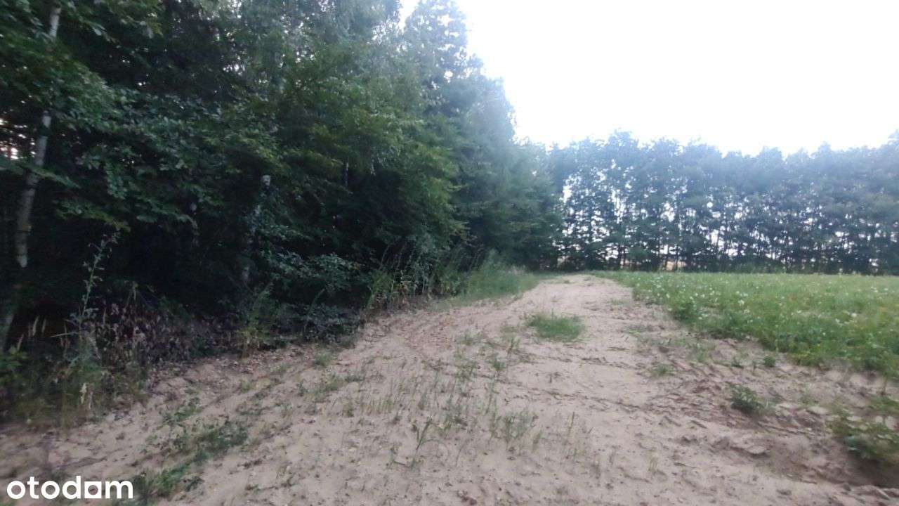 Działka świetnie połozona - Pełny obrazek: 5/10