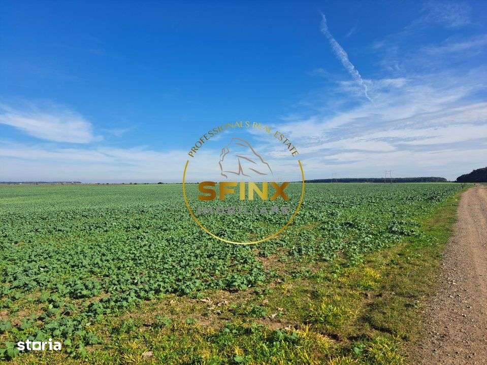 Teren intravilan Branesti 27000 mp km 12 Autostrada A2-3