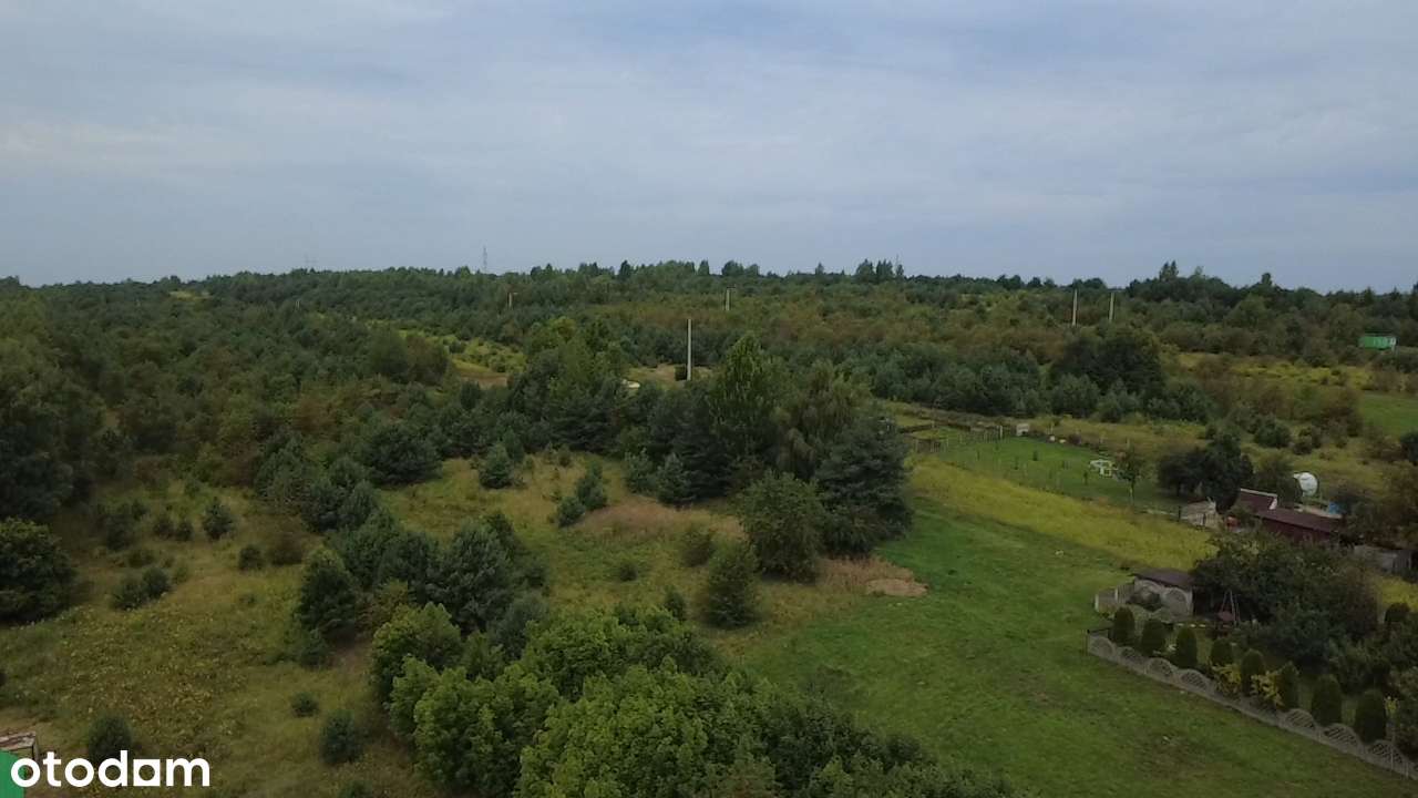 Duża działka w otoczeniu lasu i dobrej infrastruktury - Pełny obrazek: 5/6
