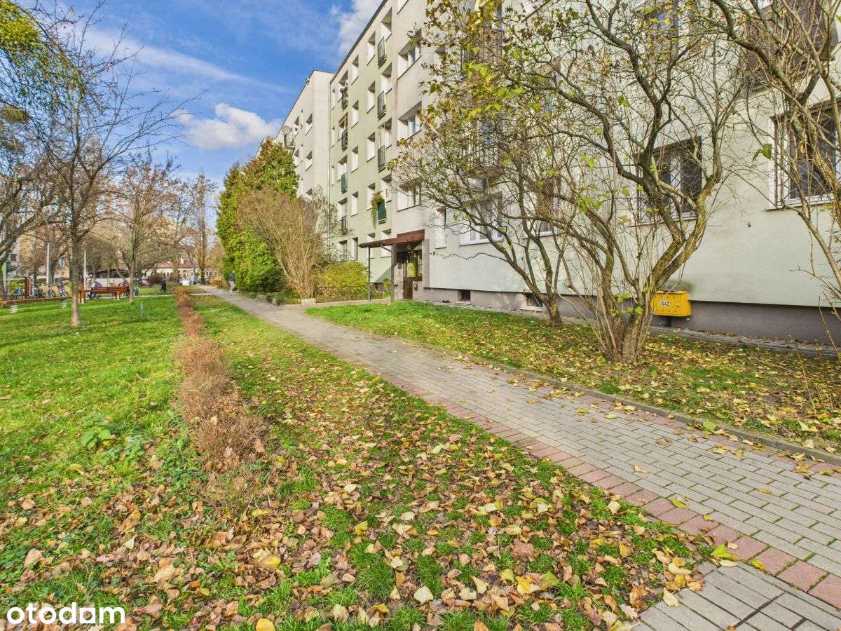 Jasne kompaktowe mieszkanie z widną kuchnią-11