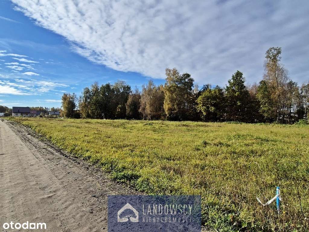 Zapewnij sobie wyjście z ogrodu do własnego lasu - Pełny obrazek: 5/19