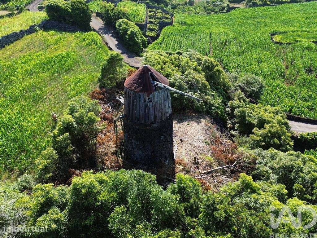 Casa / Villa em Criação Velha de 70,00 m2 - Grande imagem: 4/29