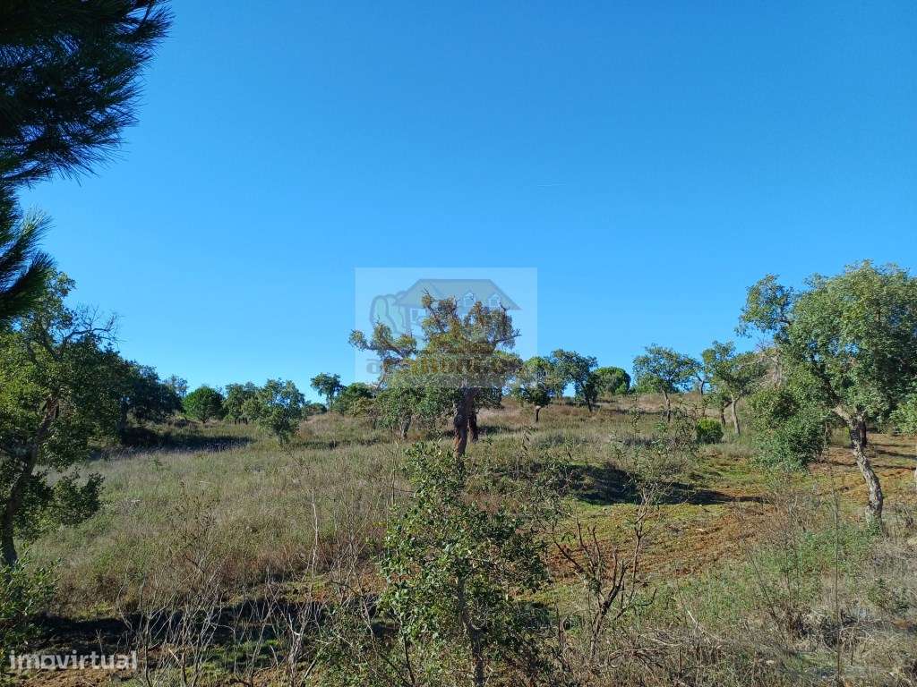 PROJECTO APROVADO para Empreendimento Turístico - propriedade com 4...-13