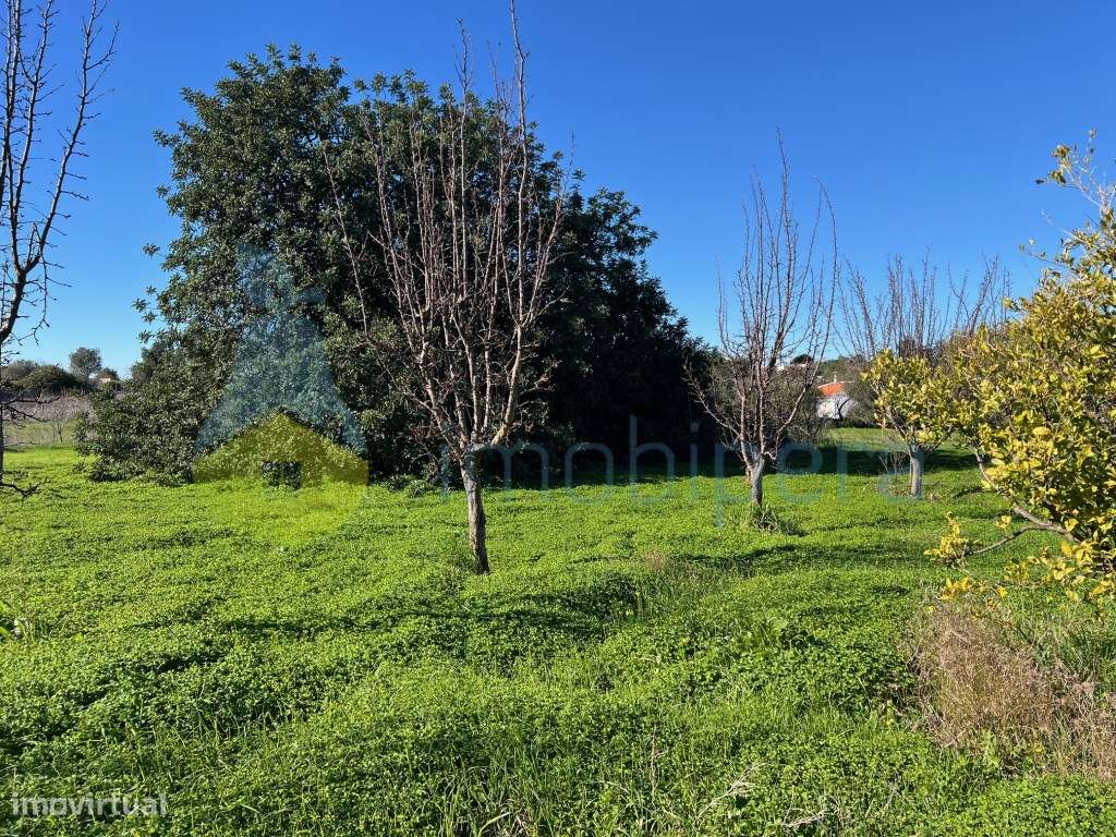 TERRENO EM CERRO DO OURO COM UMA PARCELA URBANA-24