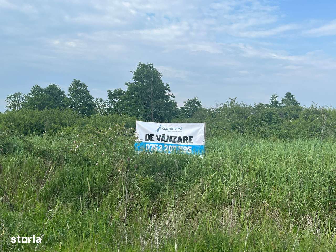 Gaminvest-Teren intravilan 4910 mp, Săldăbagiu de Munte, Bihor V4137 - Imagine principală: 2/2