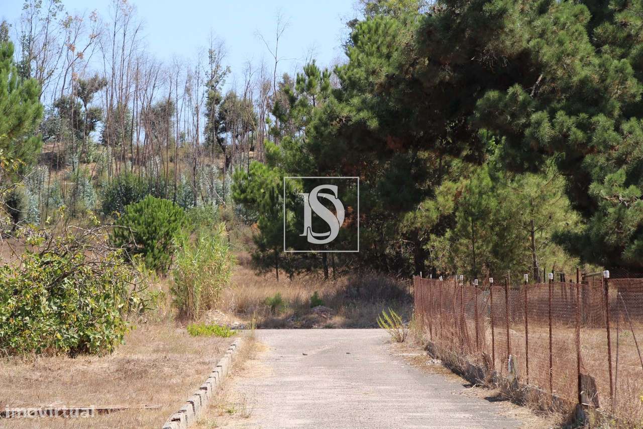 Loteamento para Construção - Grande imagem: 4/4