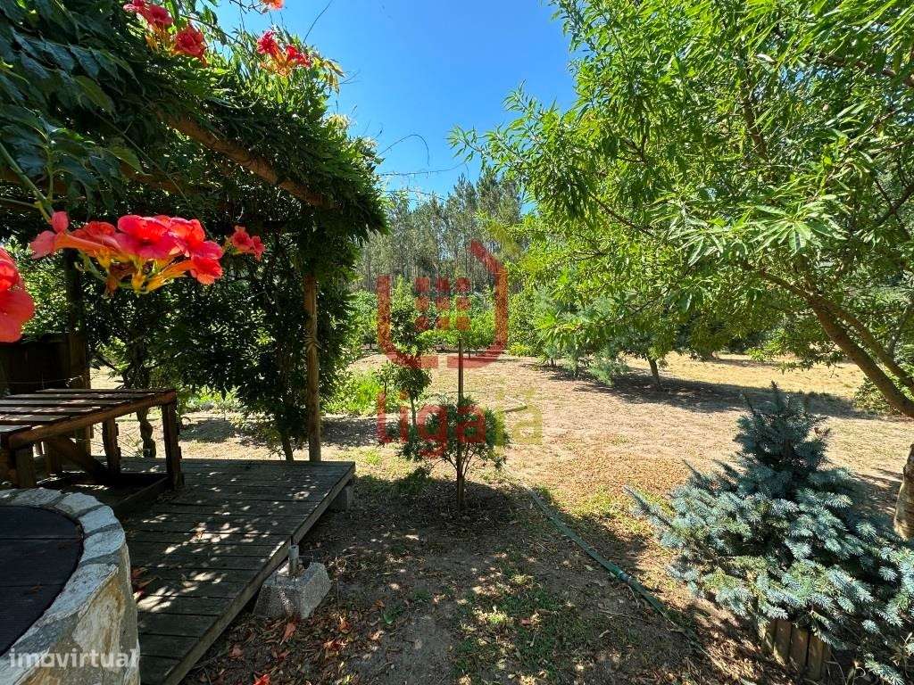 Moradia T3 com terreno - Gondemaria!-29