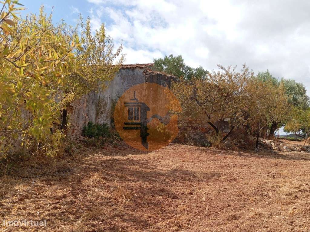Quinta em Santa Catarina da Fonte do Bispo - Grande imagem: 5/6
